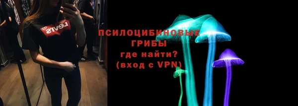 стафф Абинск