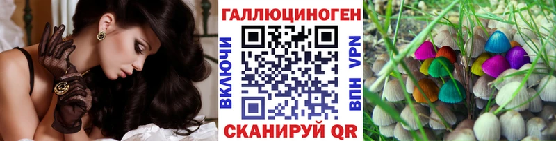 Галлюциногенные грибы GOLDEN TEACHER  наркота  Брюховецкая 